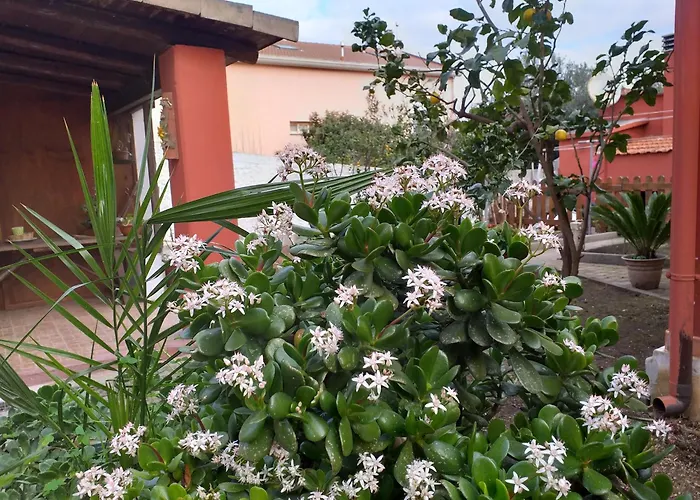 I Due Ciuchini Sardinia