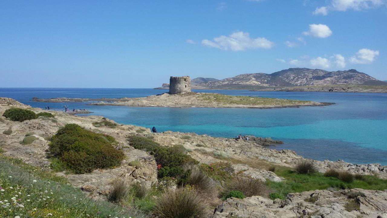 I Due Ciuchini Sardinia Sassari
