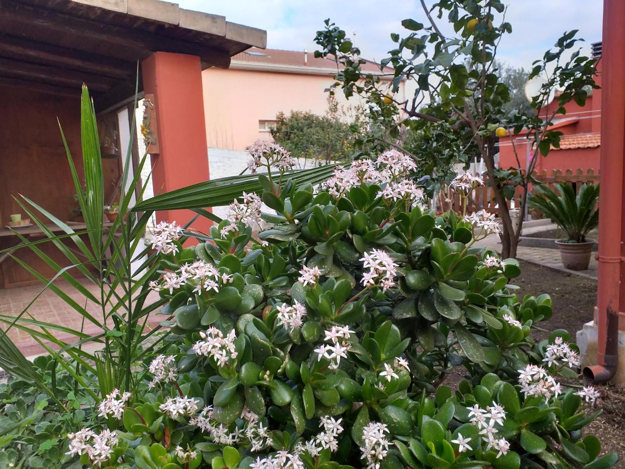 Apartment I Due Ciuchini Sardinia